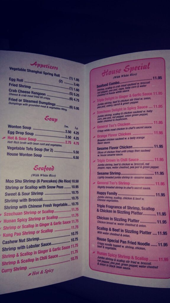 Oriental Sizzling Menu 3